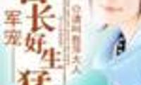 军宠首长好生猛 请叫我萍大人,萍大人的火爆爱情传奇