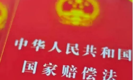 国家赔偿,国家赔偿制度解读与实施概览