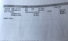 泰康人寿保险单查询,轻松掌握您的保障详情